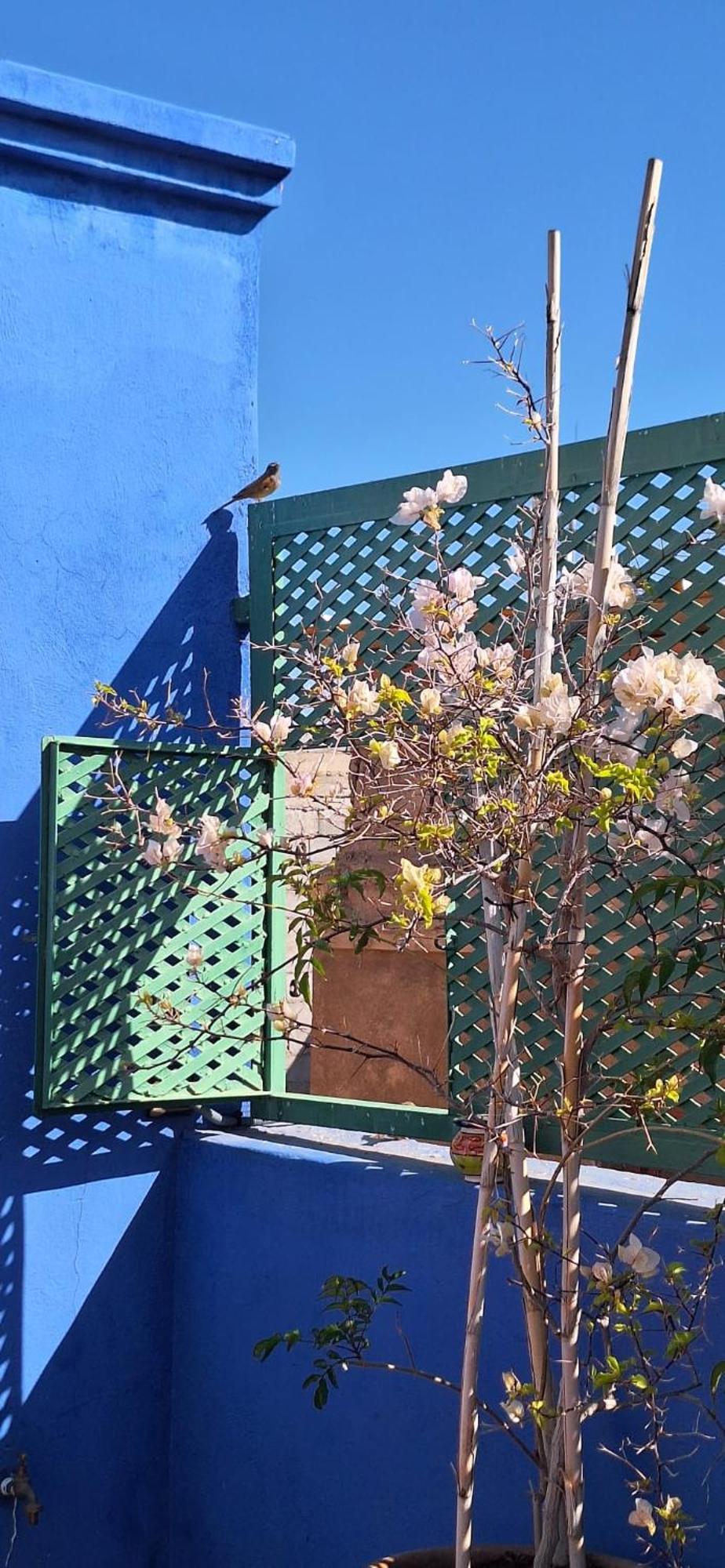 Riad Med Agora Marakeş Dış mekan fotoğraf