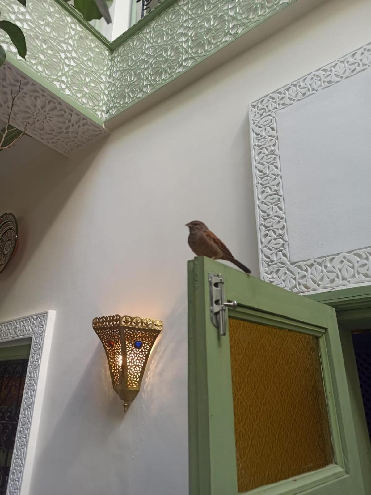Riad Med Agora Marakeş Dış mekan fotoğraf
