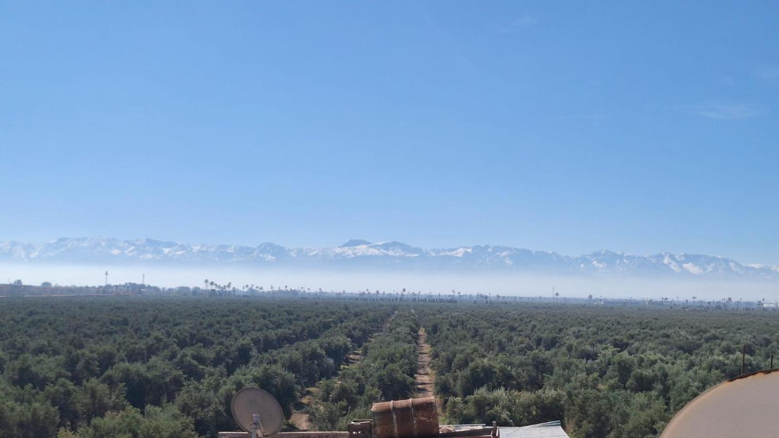 Riad Med Agora Marakeş Dış mekan fotoğraf